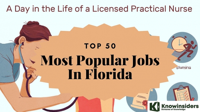 Top 50 Most Popular Jobs and Salaries In Florida and How To Find A Job