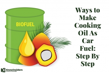 Ways to Make Cooking Oil As Car Fuel: Step By Step