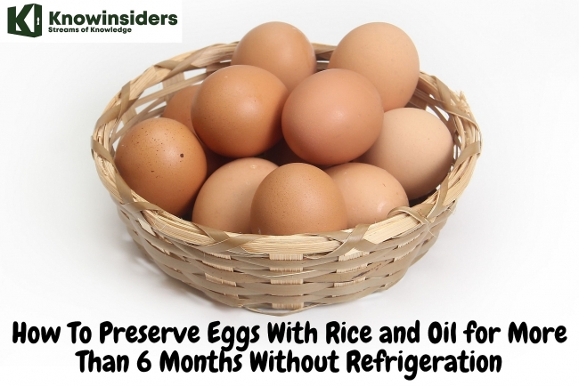 How To Preserve Eggs With Rice and Cooking Oil for 6 Months Without Refrigeration