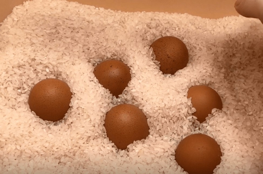 How To Preserve Eggs With Rice and Oil for More Than 6 Months Without Refrigeration