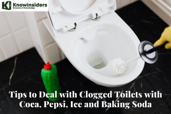 How to UnClog A Toilet With Coca, Pepsi, Ice, Baking Soda and More
