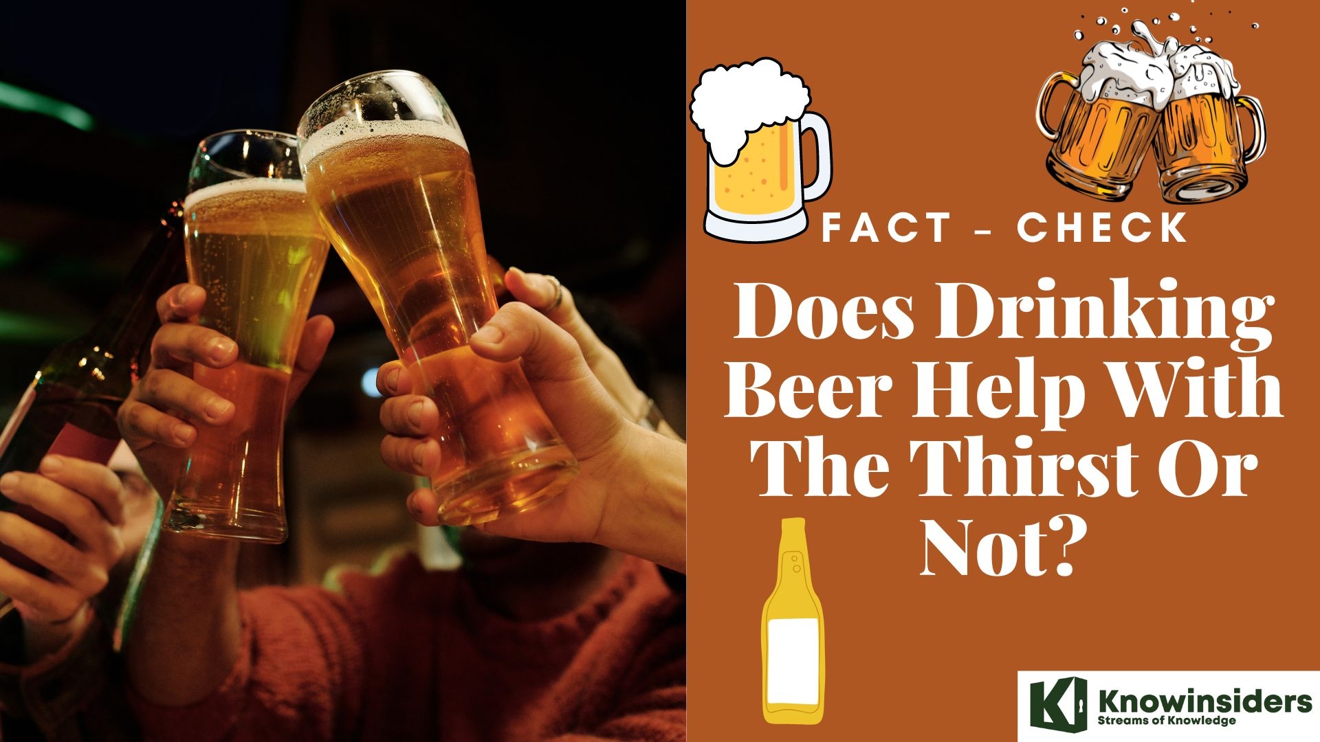 Fact – Check: Does Drinking Beer Help With The Thirst Or Not? Knowinsiders.com 