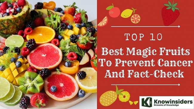 10 best magic fruits to prevent cancer and fact check