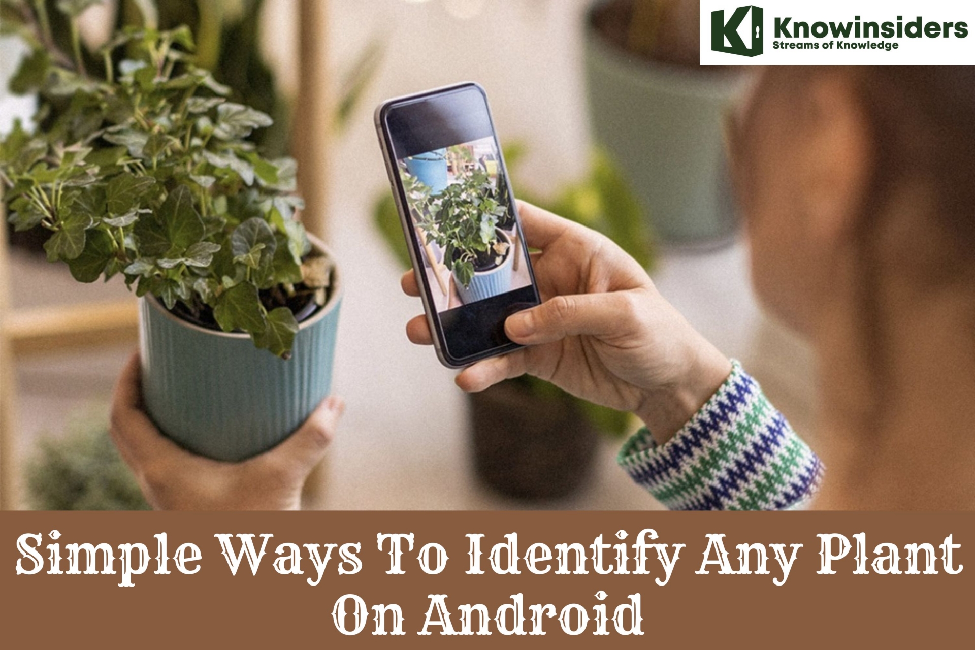 10 Best Apps To Identify Any Plant On Android
