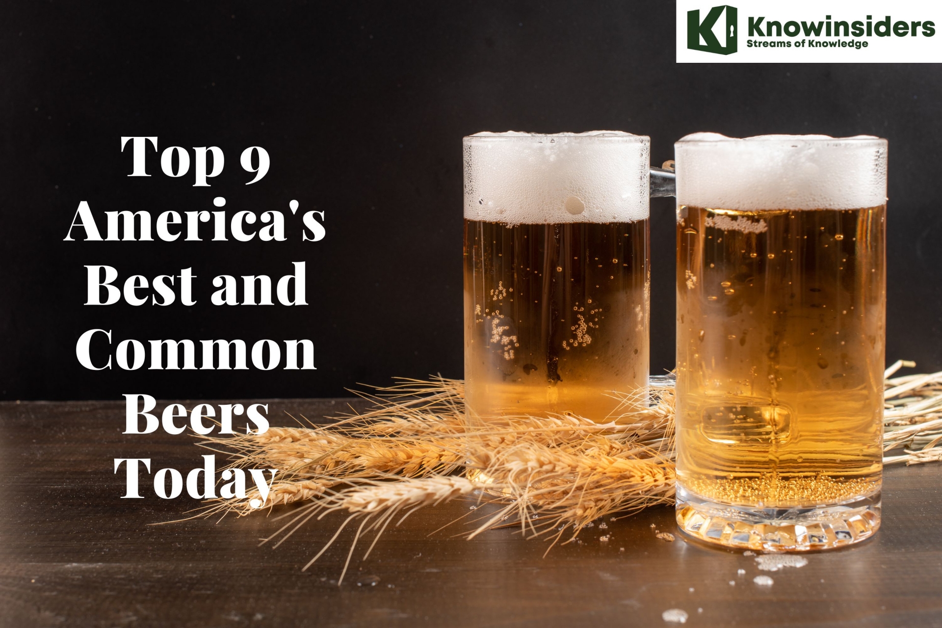 Top 9 America's Best and Common Beers Today