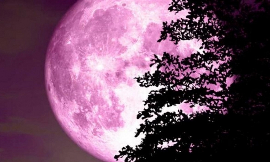 Full Pink Moon
