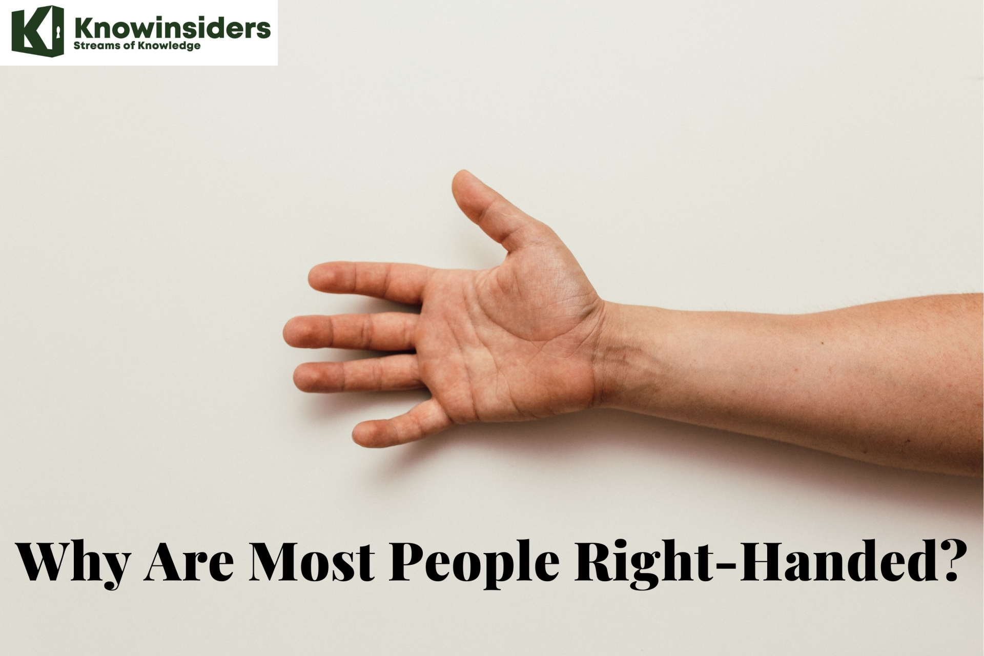 Why Are Most People Naturally RightHanded and Rare to be LeftHanded