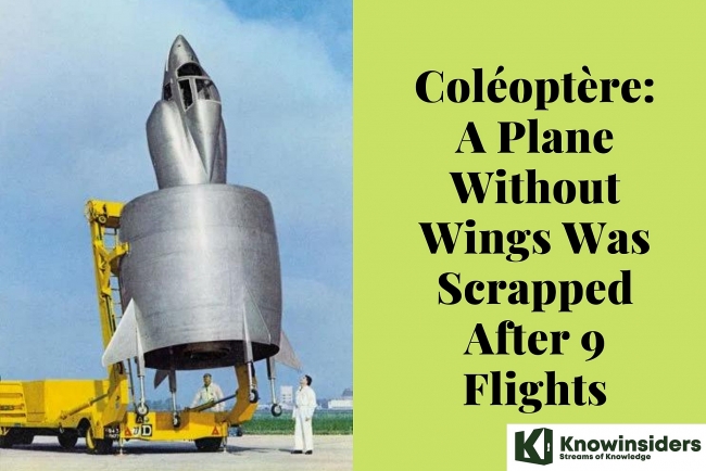 coleoptere a plane without wings was scrapped after 9 flights