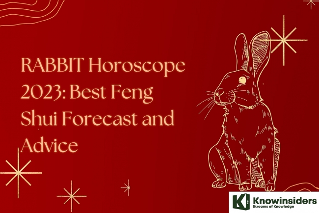 RABBIT Horoscope 2023: Best Feng Shui Forecast and Advice