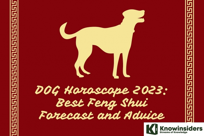 DOG Horoscope 2023: Best Feng Shui Forecast and Advice