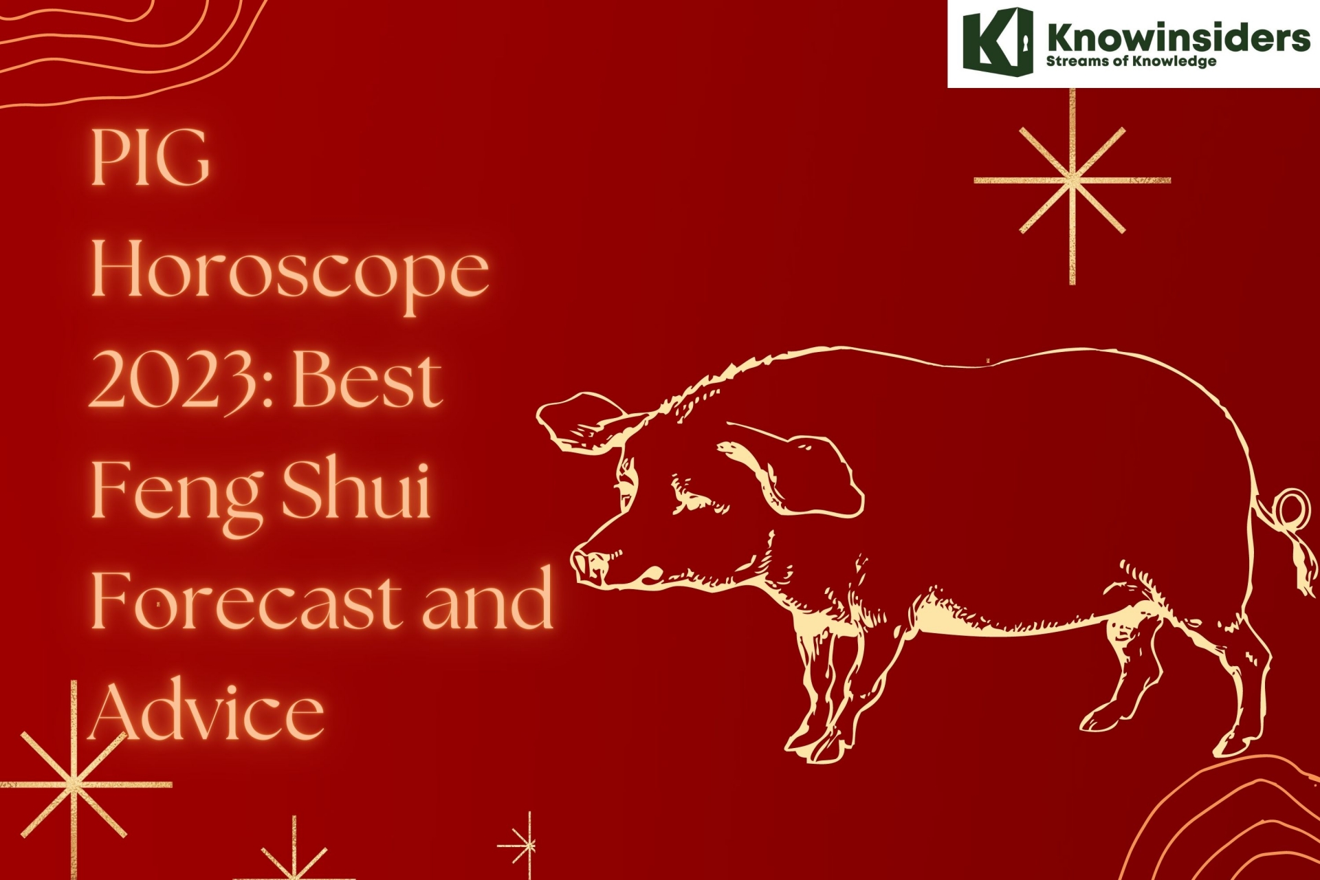 PIG Horoscope 2023: Best Feng Shui Forecast and Advice