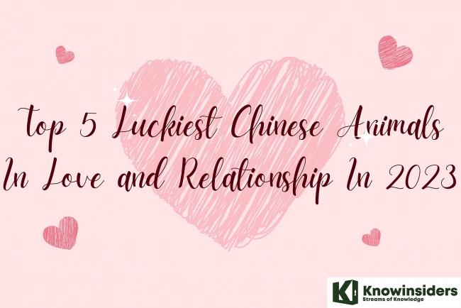 Top 5 Luckiest Chinese Animal Signs In Love and Relationship for 2023
