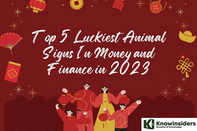 Top 5 Luckiest Animal Signs In Money and Finance in 2023