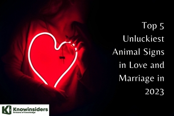 Top 5 Unluckiest Animal Signs in Love and Marriage in 2023