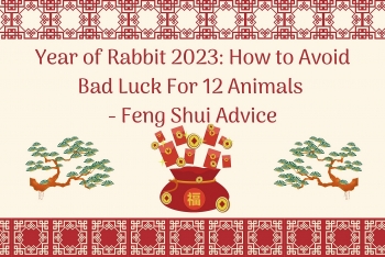Year of Rabbit 2023: How to Avoid Bad Luck For 12 Animals - Feng Shui Advice