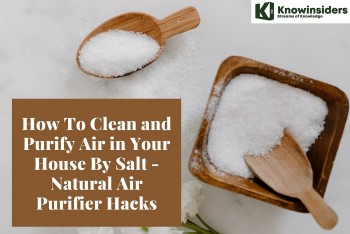 How To Clean and Purify Air in Your House By Salt - Natural Air Purifier Hacks