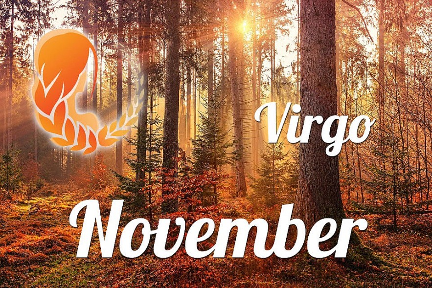 VIRGO Horoscope November 2022: Best Astrology Forecast for Love, Money, Career and Health