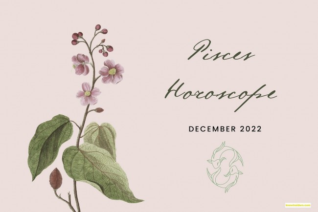PISCES Horoscope in December 2022: Astrology Forecast for Love, Money, Career and Health