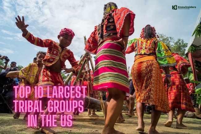 10 Largest Tribal Groups In The US Today By Population