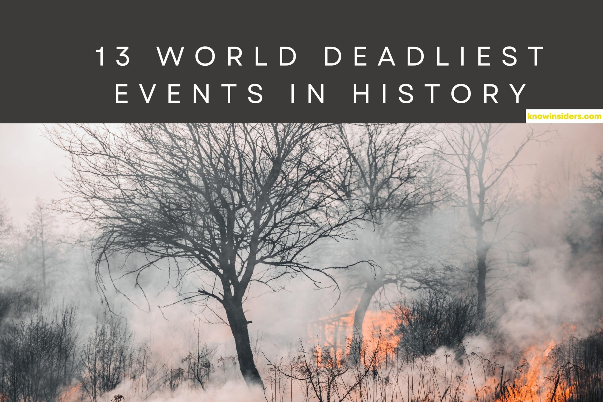 Top 8 Single Deadliest Days In The World History | KnowInsiders