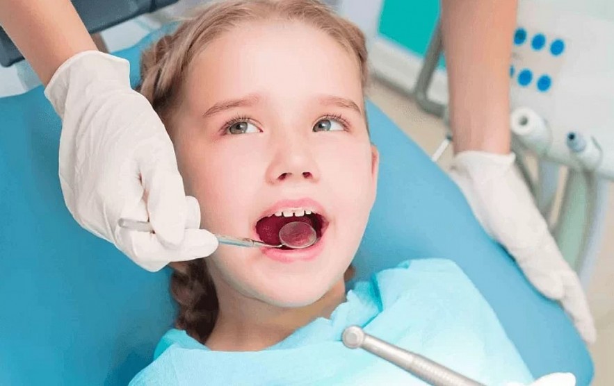 How Many Teeth Are in your Mouth: Children and Adults