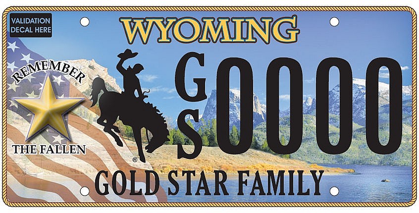Why Do Many US License Plates Feature The Gold Star Family or Mother