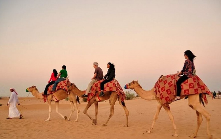 Camel Ride in Qatar
