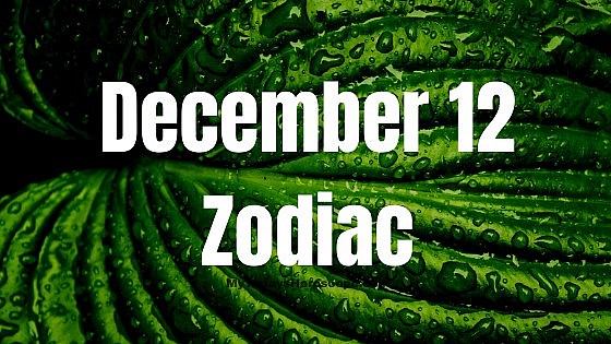 december 2022 monthly astrology jupiter blessing 12 zodiac signs with great success