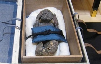 Facts About 300-Year-Old Mummified Mermaid in Japan Temple