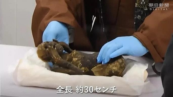 Facts About 300-Year-Old Mummified Mermaid in Japan