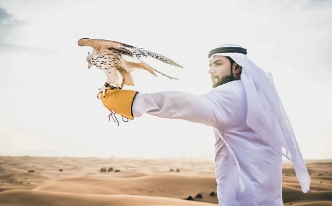 World Cup Prediction: 'Noble' Bird Sows Sorrow for Qatar