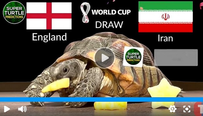 England Crushed Iran Just As the Super Turtle Predicted - World Cup 2022