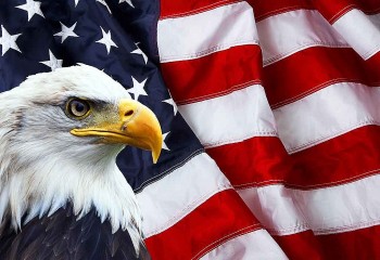What Is The US National Bird and Why is the Bald Eagle?