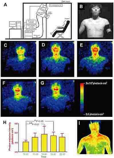 Facts About the Human Body Emits Visible Light