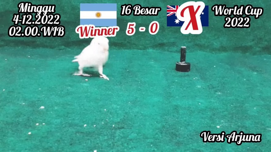 Super Animals Predict Argentina vs Australia – Round of 16