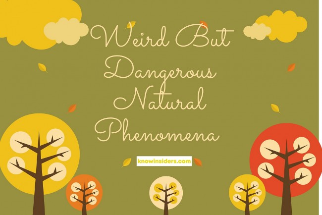 Top 4 Most Dangerous Natural Phenomena That Could Change the World