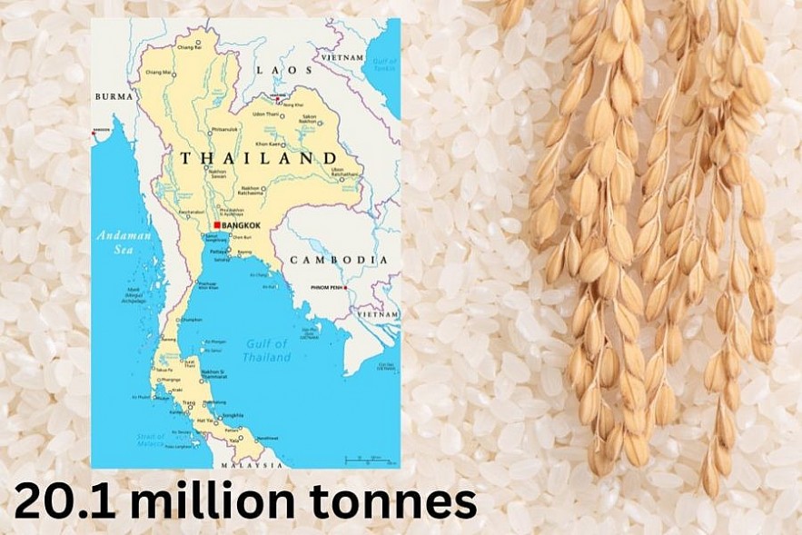 Top 10 Countries with the Biggest Rice Pruduction in the World Today