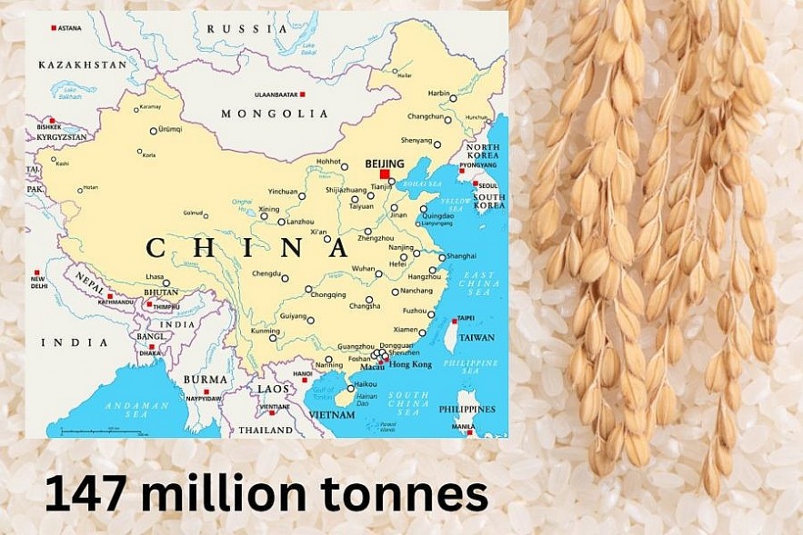 Top 10 Countries with the Biggest Rice Pruduction in the World Today
