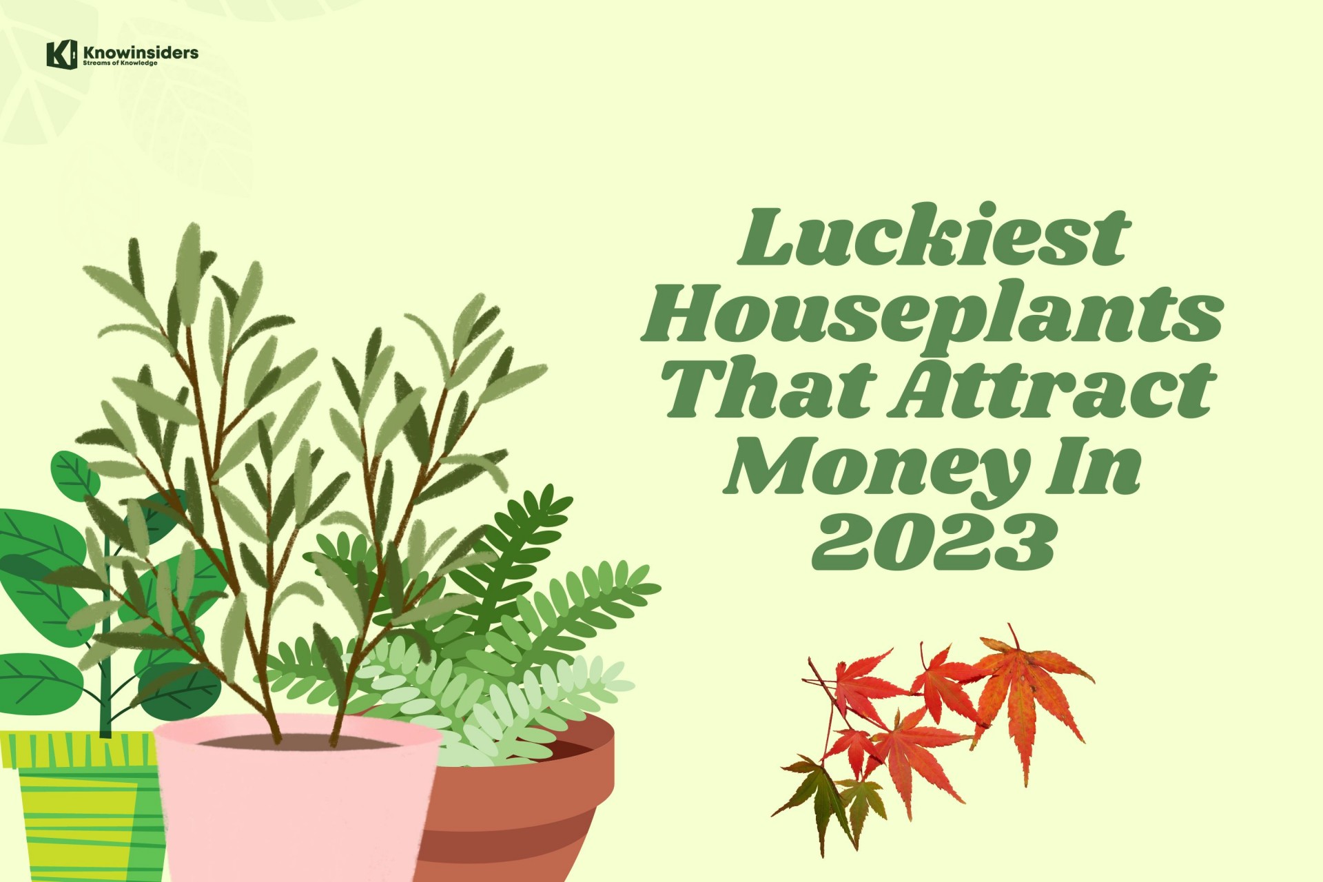 Top 9 Luckiest Houseplants That Attract Money In 2023