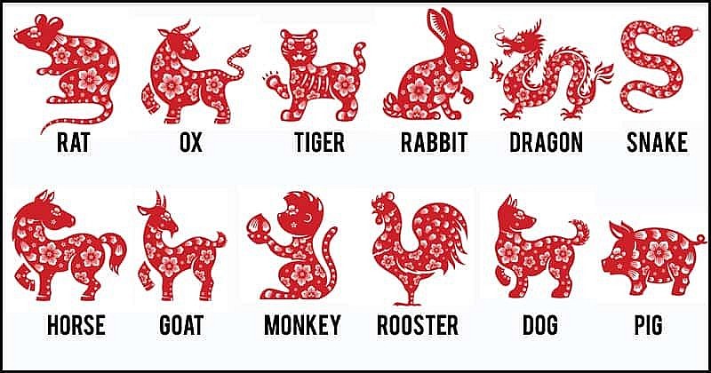 January - Year of the Rabbit: How to Change the Destiny of the 12 Animal  Zodiac Signs | KnowInsiders