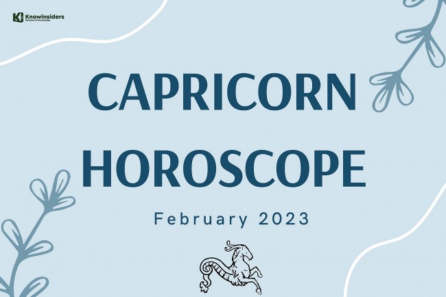 capricorn monthly horoscope in february astrology forecast for love money career