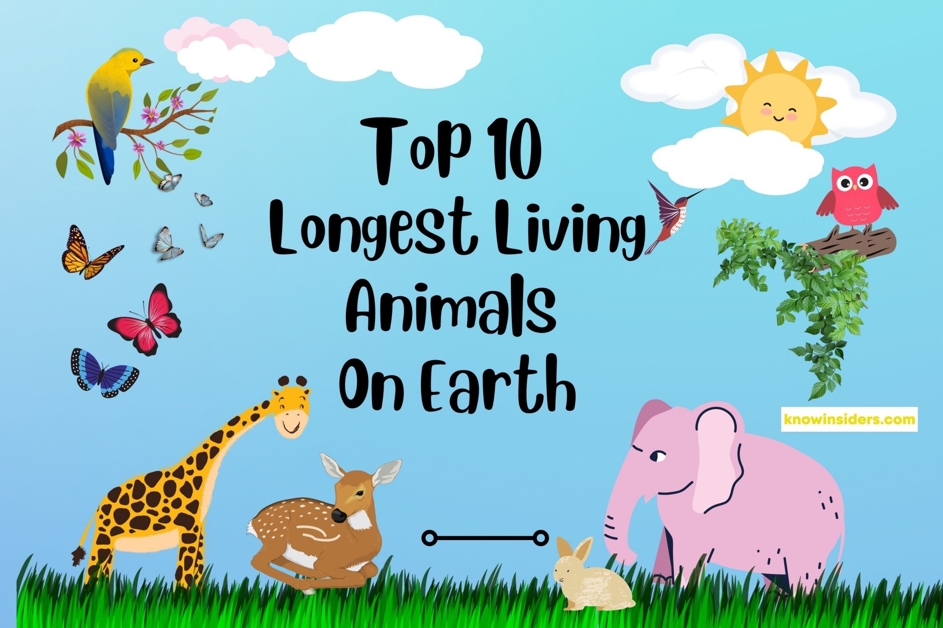 Top 10 Animals With the Longest Lifespan on Earth | KnowInsiders