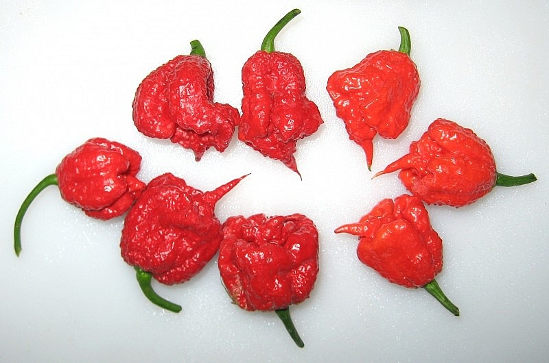 Top 10 Most Spicy Chilli Peppers In The World