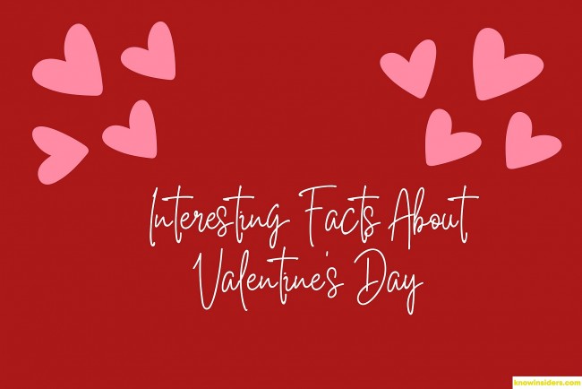 Top 15+ Interesting Facts About Valentine's Day That You Might Not Know