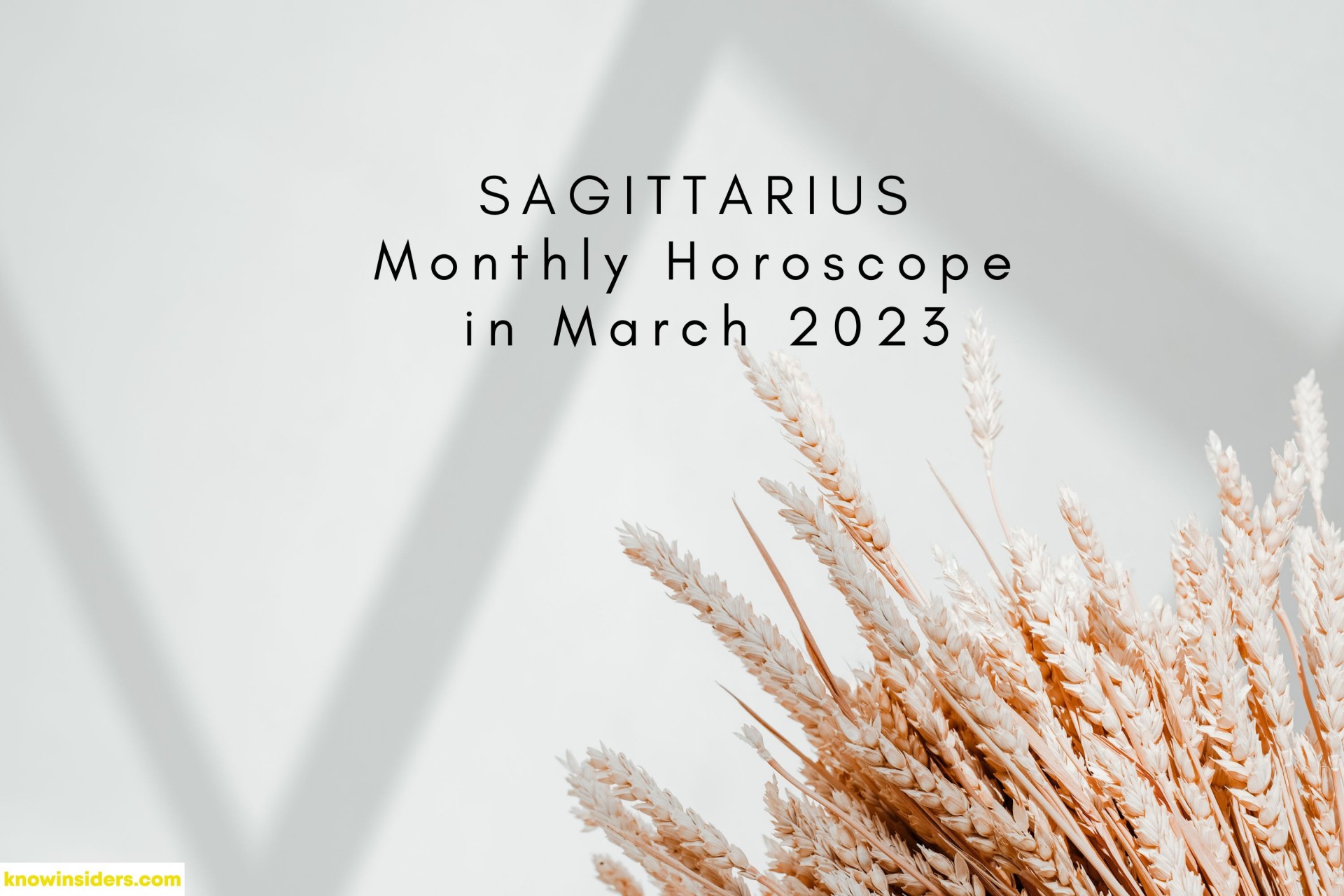 SAGITTARIUS Monthly Horoscope in March 2023: Special Astrological Predction