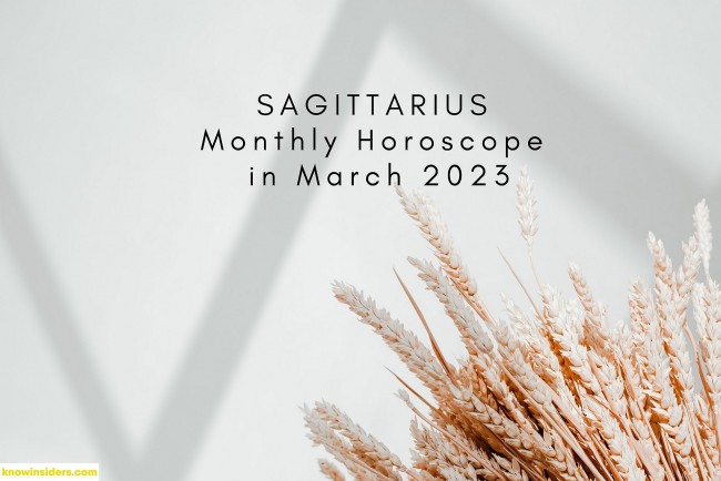 sagittarius monthly horoscope in march 2023 special astrological predction