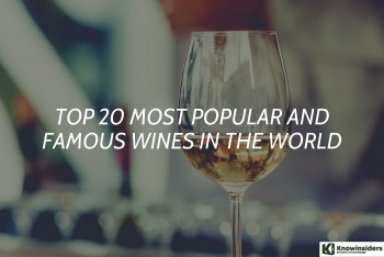 Top 20 Most Popular and Famous Wines in the World 2023/2024