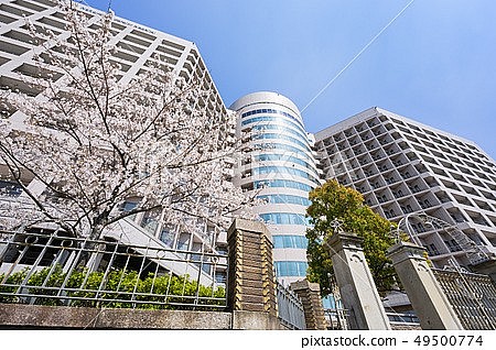 Top 10 Best Hospitals In Japan for Foreigners and Citizens