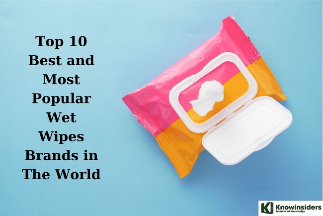 top 10 best most popular wet wipes brands in the world