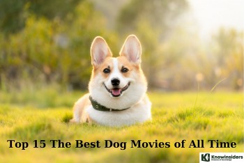 Top 15 The Best Dog Movies of All Time to Watch